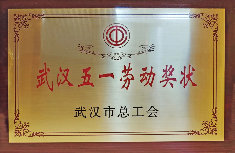 2025年6月，武汉市总工会公布2024年度劳动和技能竞赛获奖名单，中天六建荣获